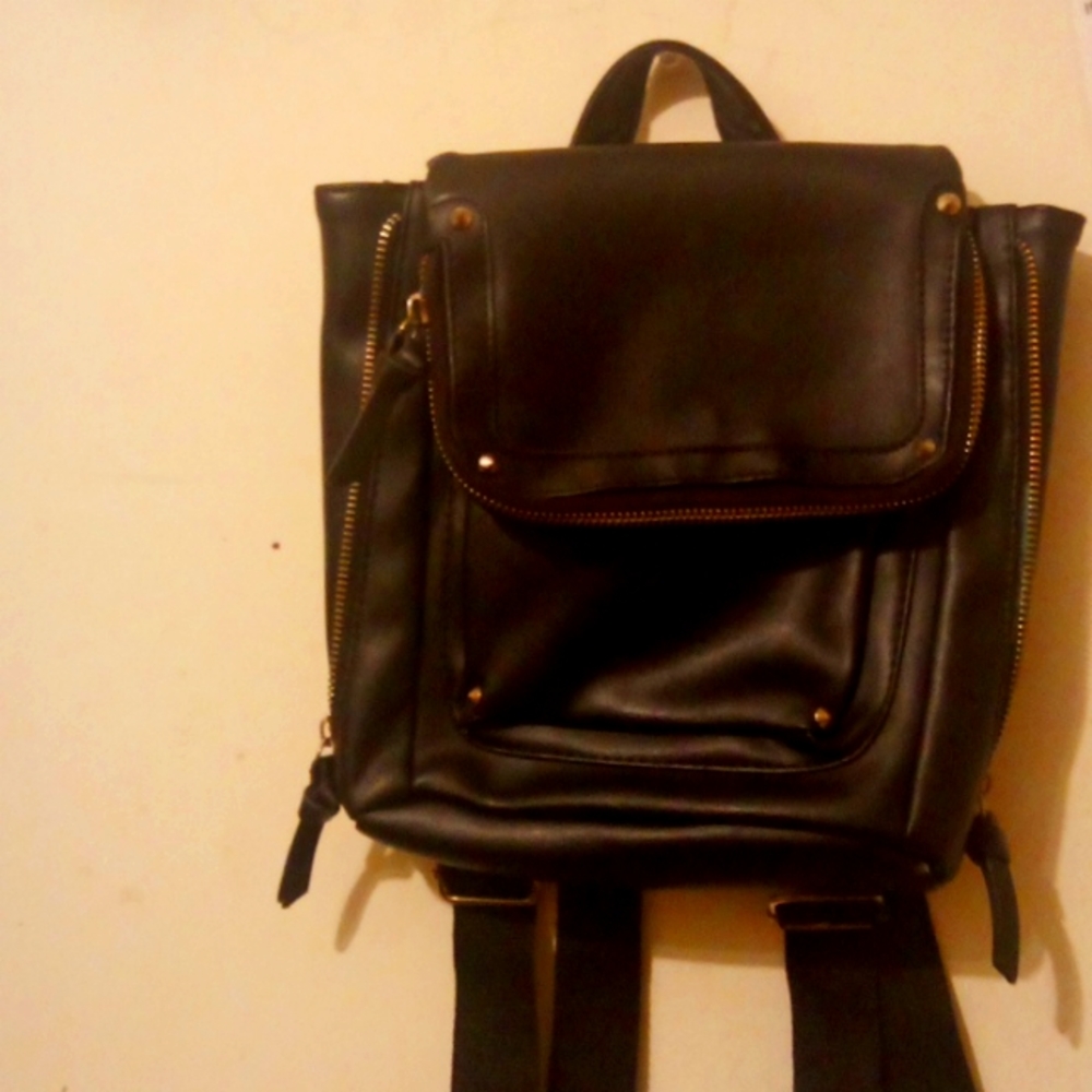 Bag/Carrier